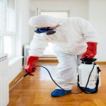 Pest Control Sydney: How to Keep Your Restaurant Free from Pests