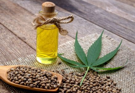 From Seed to Wellness: The Journey of Hemp Oil Drops