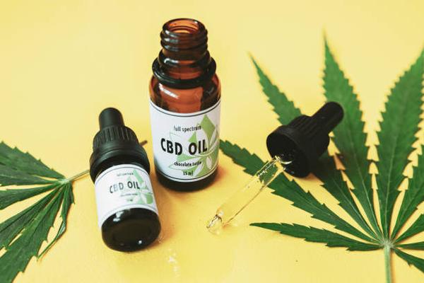 Exploring the Benefits of CBD Gummies as a Delicious Wellness Solution in Canada